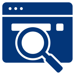 Security Analyst